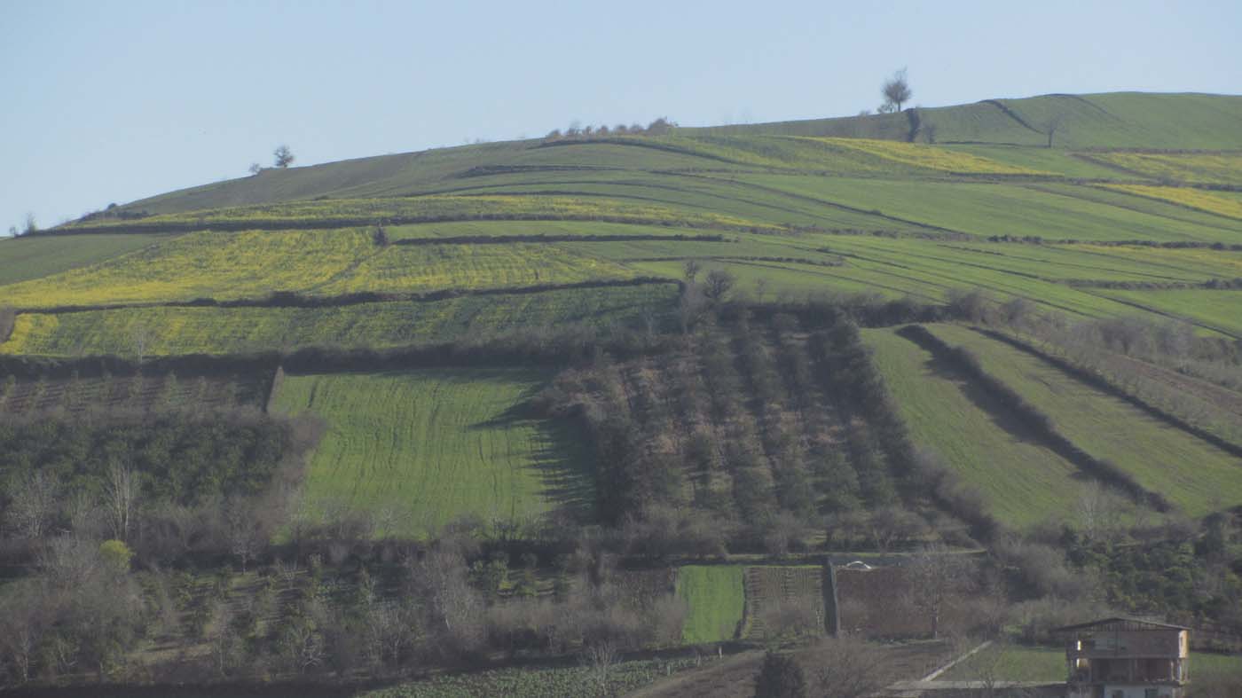 1_51_.jpg (1400×787)