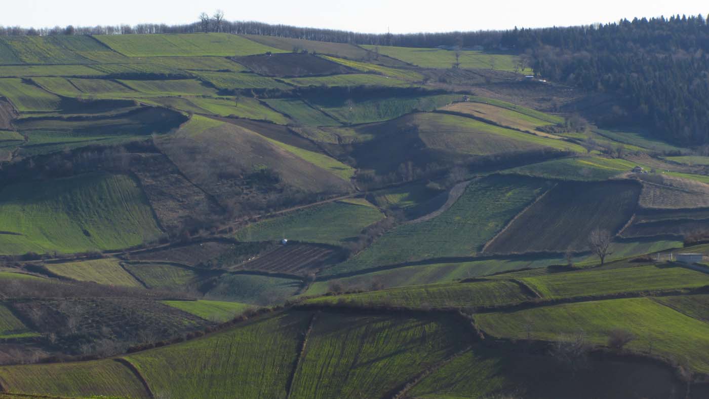 1_58_.JPG (1400×787)