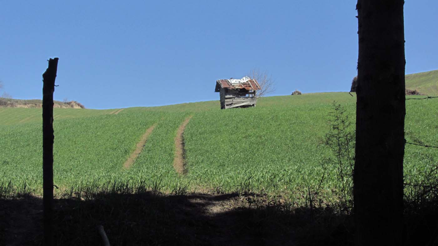 1_61_.JPG (1400×787)