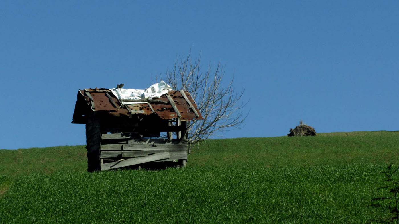 1_62_.JPG (1400×787)