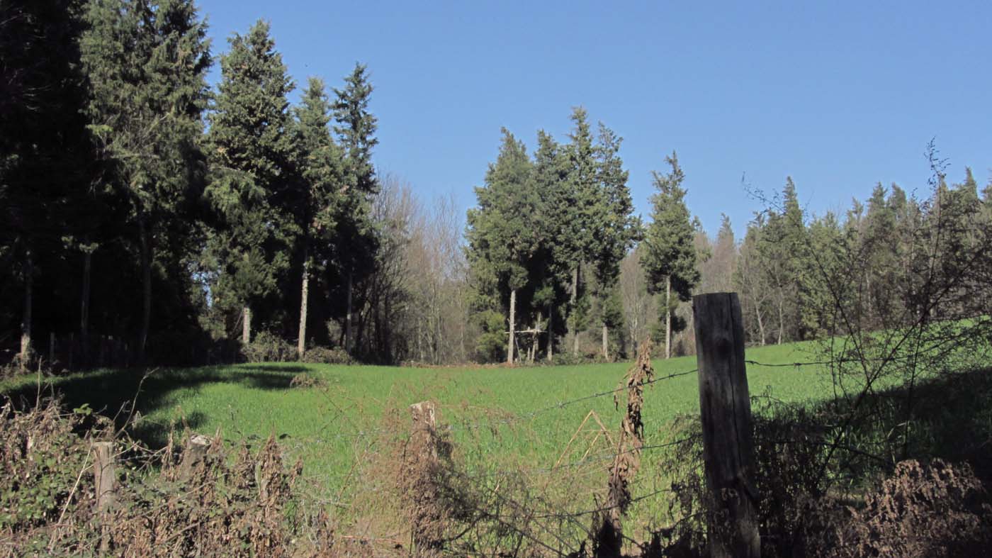 1_65_.JPG (1400×787)