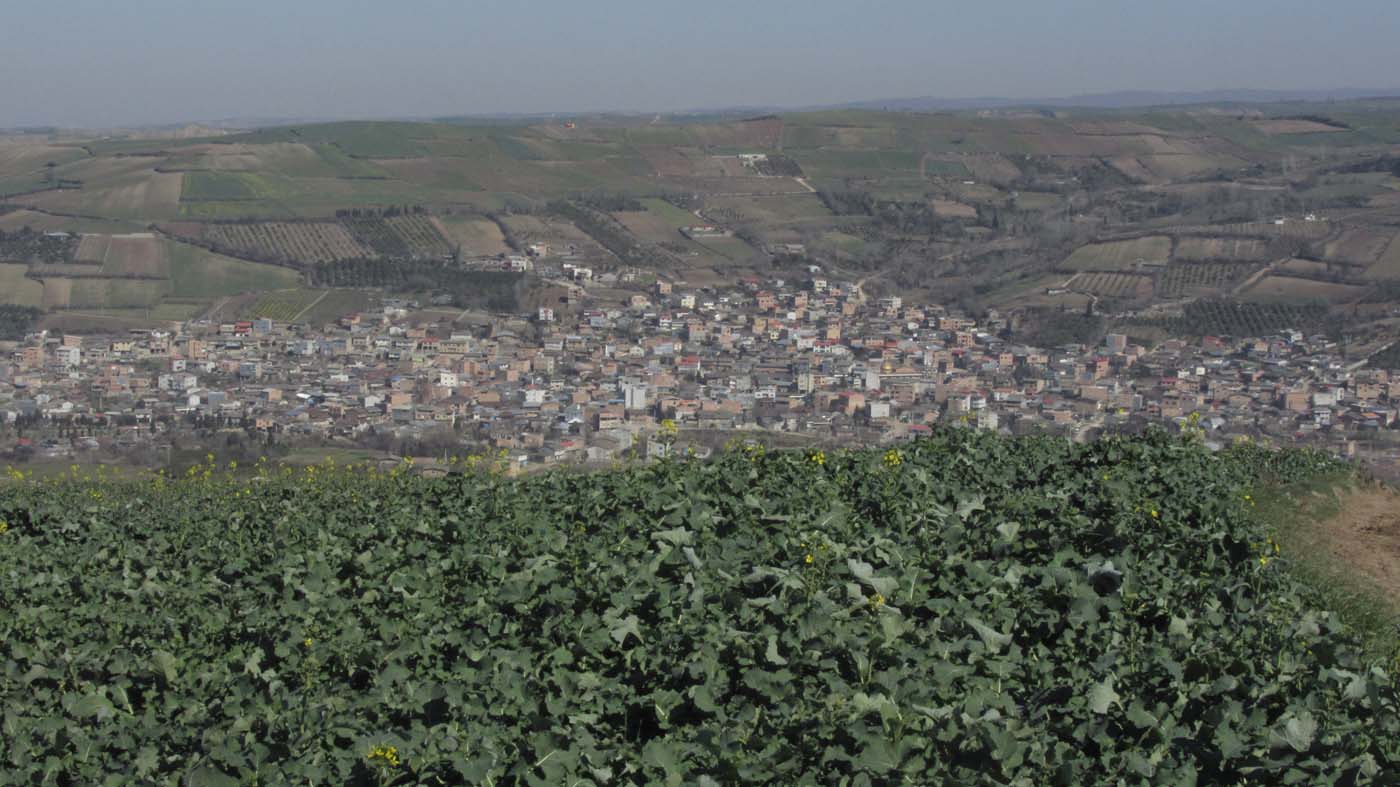 1_67_.JPG (1400×787)