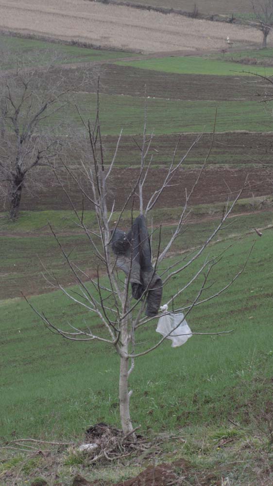 1_78_.JPG (562×1000)