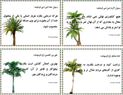 احادیث درختکاری