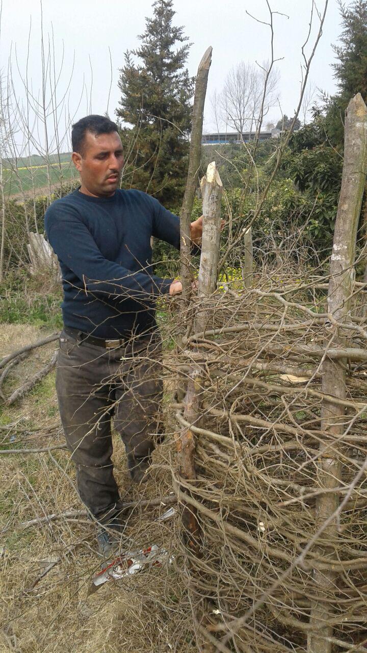 1_10_.jpg (720×1280)