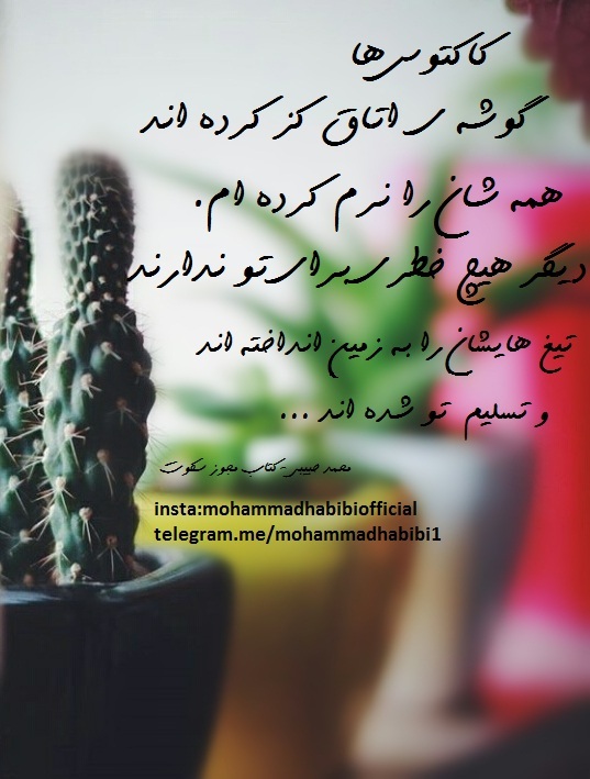 کتاب مجوز سکوت نوشته ی محمد حبیبی