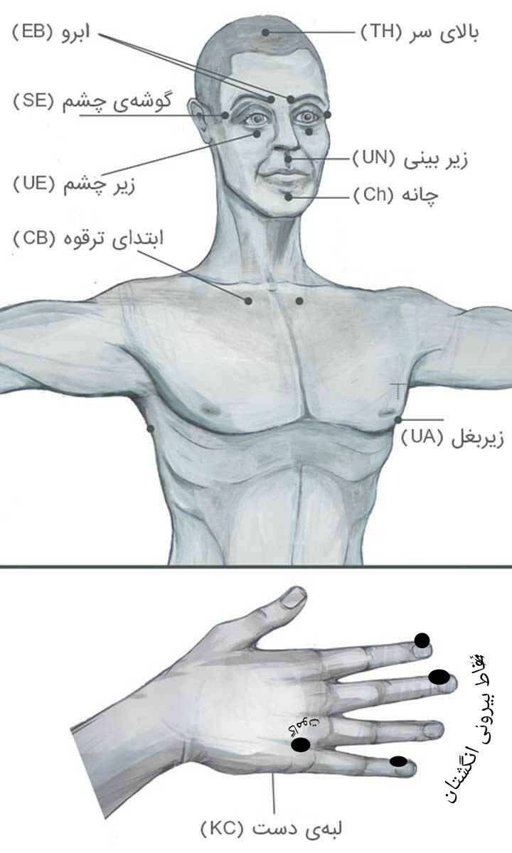 کانال تلگرامی تکنیک کالاهان TFT