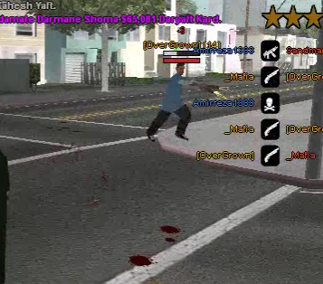 aim2.jpg