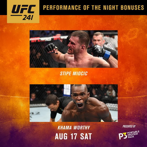 نتایج رویداد UFC 241: Cormier vs. Miocic 2