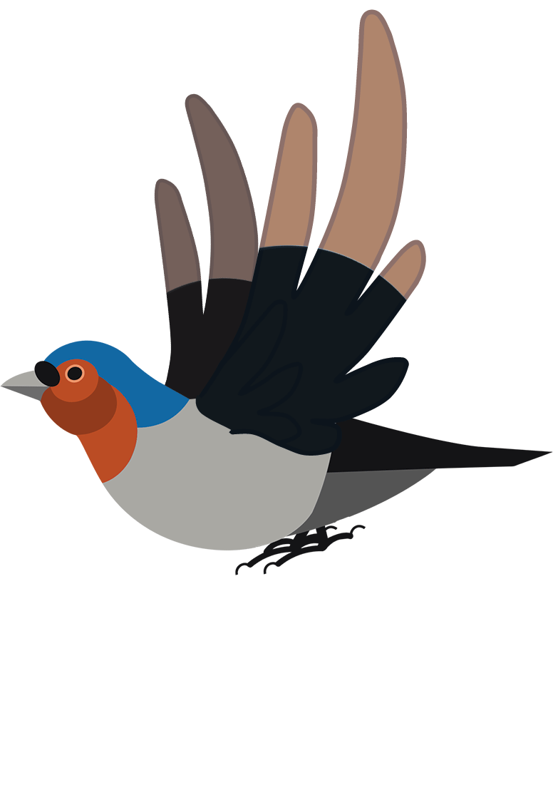 [تصویر:  bird.gif]