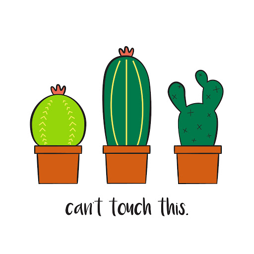 Cactus ||کاکتوس 1
