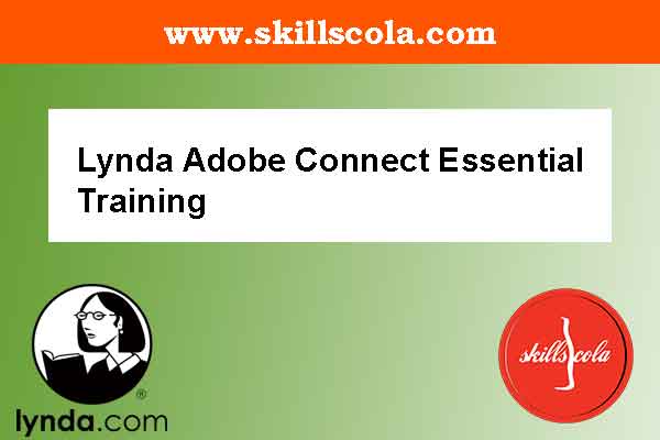 Lynda Adobe Connect Essential Training