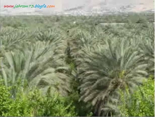دانلود آهنگ دختر جهرم